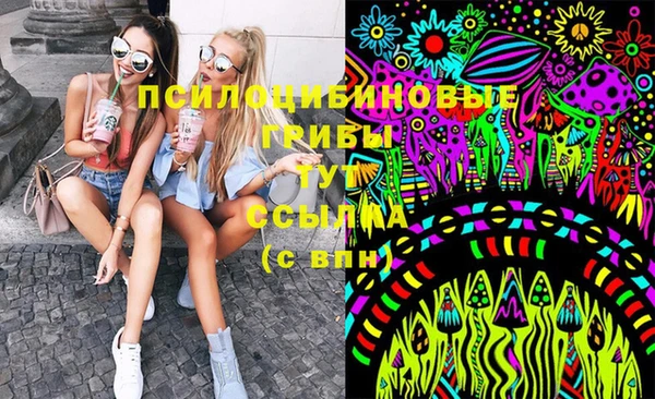 стаф Белоозёрский