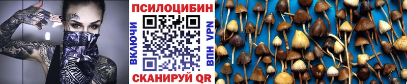 Галлюциногенные грибы MAGIC MUSHROOMS  сайты даркнета состав  Спас-Деменск 
